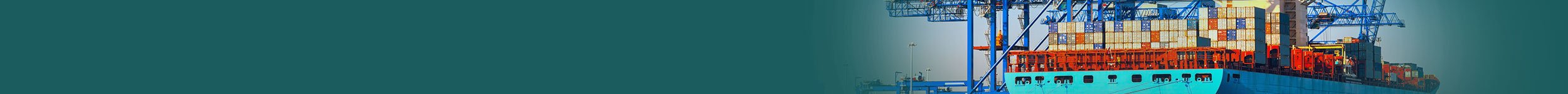 Gain Complete Visibility into the Export Process