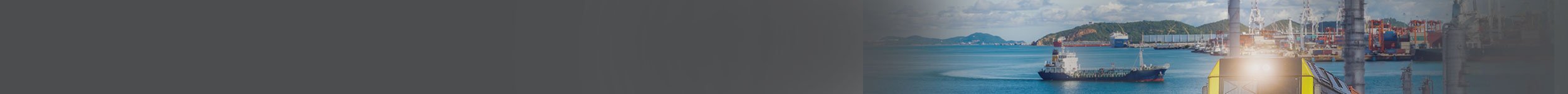 Proactively Manage the Import Process